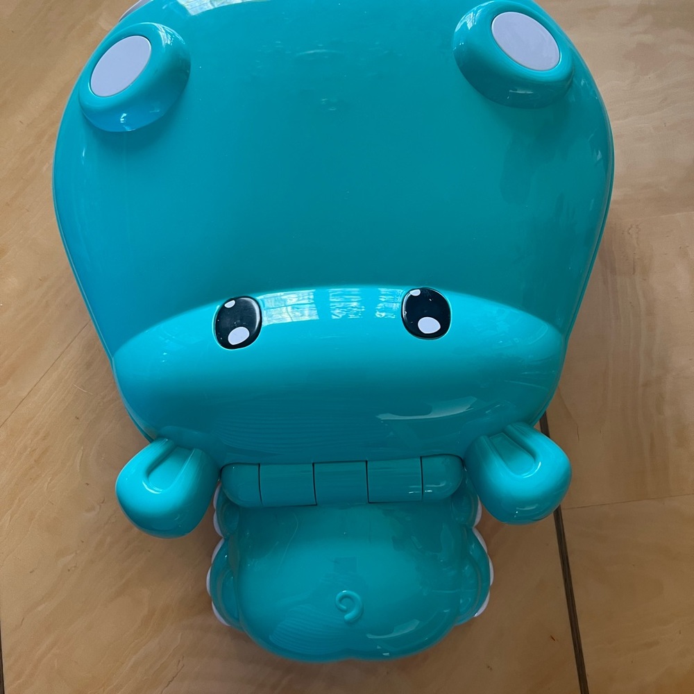 Carousel Fishing Hippo